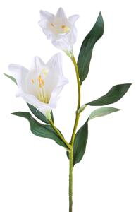 Set 3 Longiflor per 2 94 cm