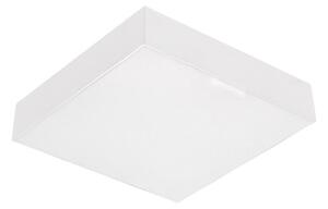 Emithor 63215 - Plafoniera LED SURFACE/10W/230V