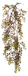 Set 4 Foglie Artificiali Dischidia Cadente 95 cm