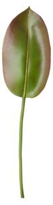 Set 4 Foglia Artificiali Ficus 74 cm