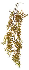 Set 4 Foglie Artificiali Dischidia Cadente 95 cm