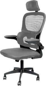 Sedia da ufficio ergonomica, sedia da scrivania con poggiatesta regolabile, braccioli, supporto lombare, sedia girevole con altezza regolabile, sedia da computer, portata massima 150 kg (grigio)