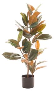 Ficus artificiale (altezza 90 cm) Ficus - Ixia