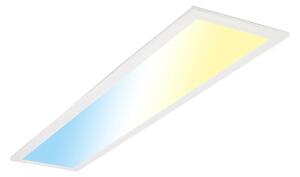 Briloner 7399016 - LED Pannello fisso dimmerabile LED/24,5W/230V 3000-6500K + +TC