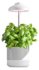 LED Lampada da interni per la coltivazione di piante LED/5W/5V 3200K