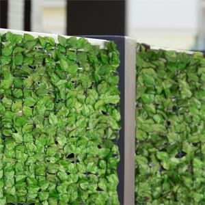 Blumfeldt Fency Bright Leaf Recinto Privacy Antivento 300x150 cm Faggio Verde Chiaro