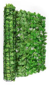 Blumfeldt Fency Bright Leaf Recinto Privacy Antivento 300x100 cm Faggio Verde Chiaro
