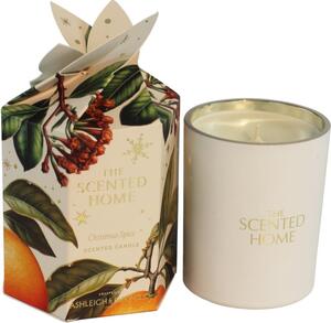 Ashleigh & Burwood London The Scented Home Christmas Spice candela profumata 170 g