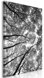 Quadro High Trees (1 Part) Vertical