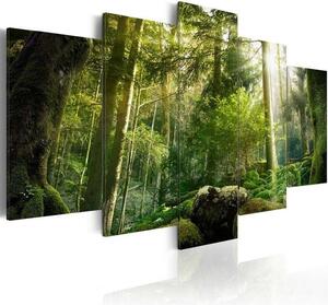 Quadro Fascino della foresta