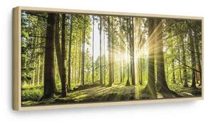 Quadro Daylight
