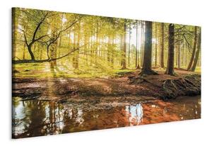 Quadro Autumnal Reverie