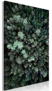 Quadro Flying Over Forest (1 Part) Vertical