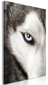 Quadro Dog's Look (1 Part) Vertical