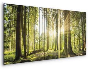 Quadro Sunlight