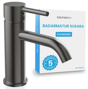 Rubinetto da bagno Bächlein Susara con bocca curva, miscelatore monocomando di design con cartuccia in Vetroceramica resistente e set di montaggio, rubinetto da bagno antracite