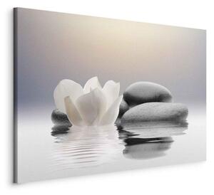 Quadro Garden of Calm