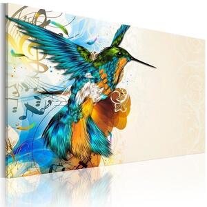Quadro Bird's music