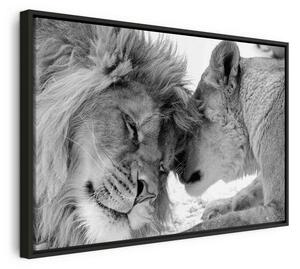 Quadro Lion's Love