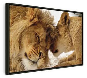 Quadro Love's Secret