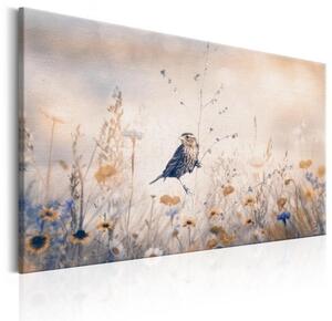 Quadro August Melody