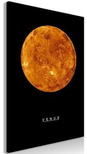 Quadro Venus (1 Part) Vertical
