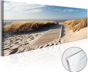 Quadri su vetro acrilico Wild Beach [Glass]