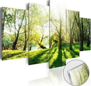 Quadri su vetro acrilico Green Glade [Glass]