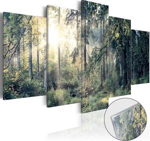 Quadri su vetro acrilico Fairytale Landscape [Glass]