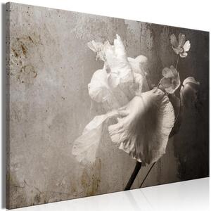 Quadro - Venetian Splendor (1 Part) Wide