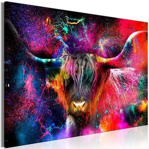 Quadro - Colorful Bull (1 Part) Wide
