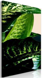 Quadro - Dieffenbachia (1 Part) Vertical
