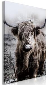 Quadro - Highland Cow in Sepia