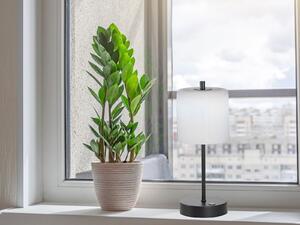 Lampada da tavolo LED FHL Riva, alimentazione a batteria, USB, 34,5 cm, 1,8W, luce bianca regolabile, dimmerabile, colore bianco, codice prodotto 850291