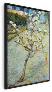 Quadro - Blossoming Pear Tree