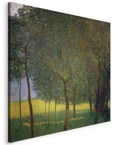 Quadro - Fruit trees on Attersee (Gustav Klimt)