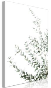 Quadro - Eucalyptus Parvifolia (1 Part) Vertical