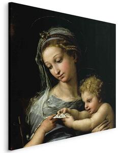 Quadro - The Virgin of the Rose (Rafael Santi)