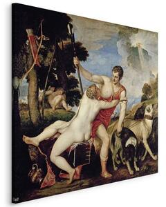 Quadro - Venus and Adonis (Tycjan )