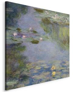 Quadro - Nymphéas (Claude Monet)