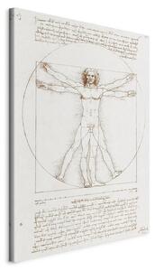 Quadro - Vitruvian Man (Proportions of the human body according to Vitruvius)
