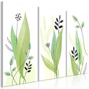 Quadro - Green Day (3 Parts)