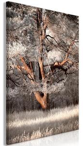 Quadro - My Story (1 Part) Vertical