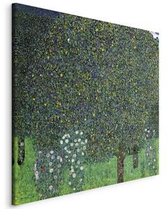 Quadro - Roses Among the Trees