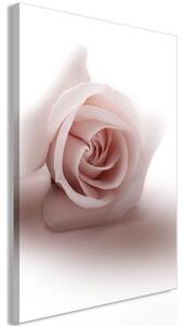 Quadro - Floral Glamour Glow (1-part) - Delicate and Pastel Pink Rose