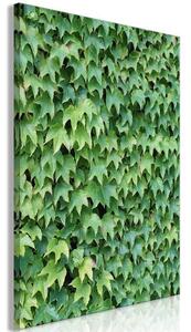 Quadro - Thick Ivy (1 Part) Vertical