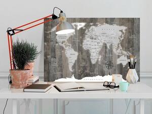 Quadro di sughero - World of Wood