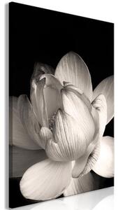 Quadro - Delicacy of Petals in Nature (1-part) - Flower in Black and White
