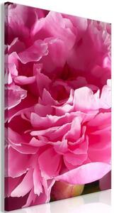 Quadro - Blossom of Beauty (1-part) - Pink Peony Flower Embraced by Nature