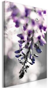 Quadro - Violet Ringtones (1 Part) Vertical